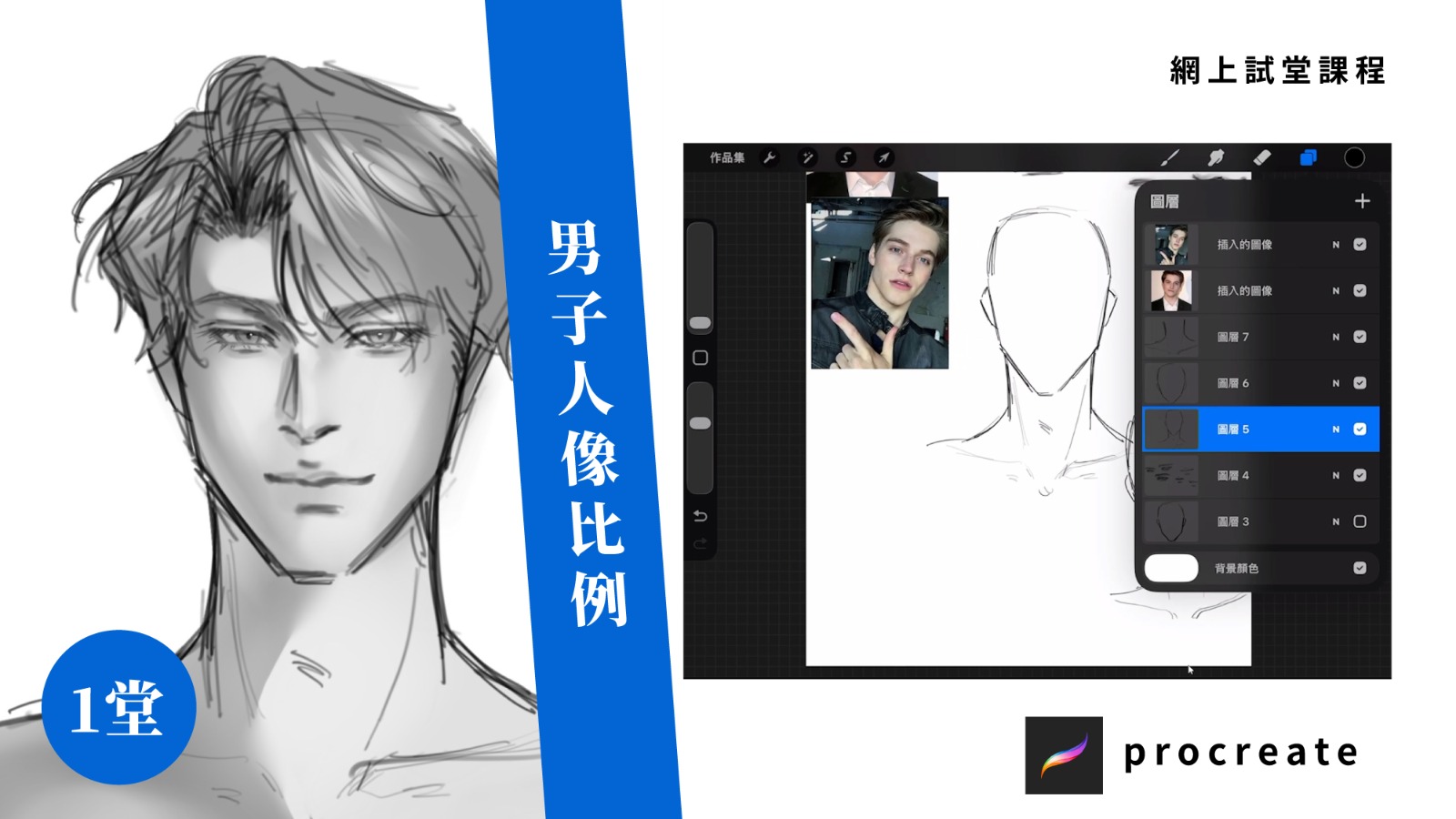 男子人像比例